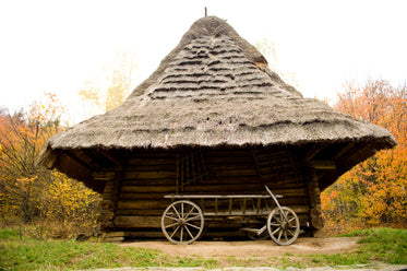 thatched hut and wooden cart