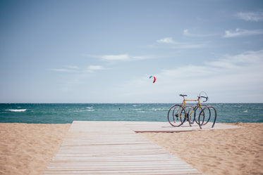 the active beach