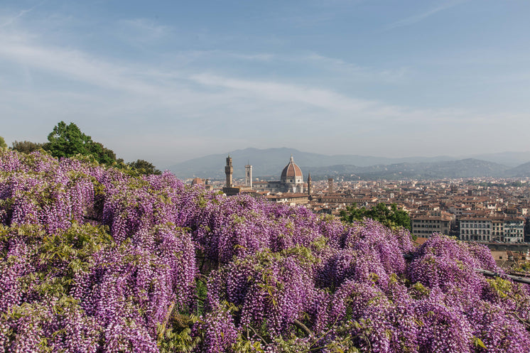 the-bardini-gardens.jpg?width=746&format=pjpg&exif=0&iptc=0