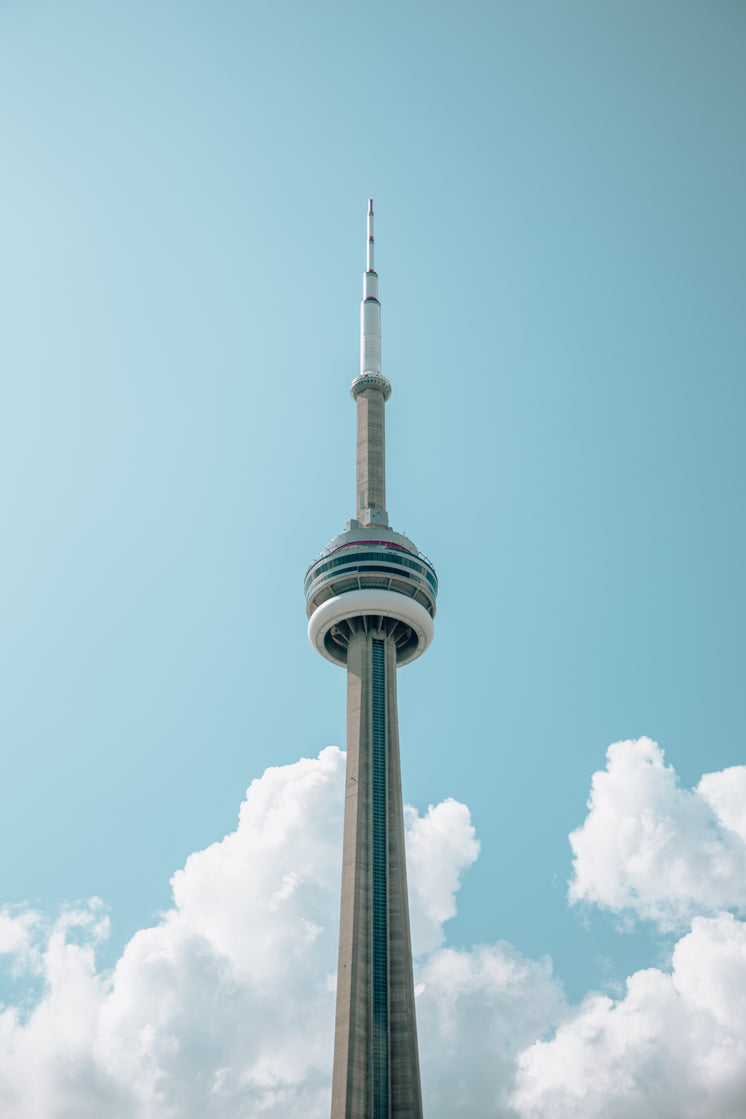 The CN Tower In Summer