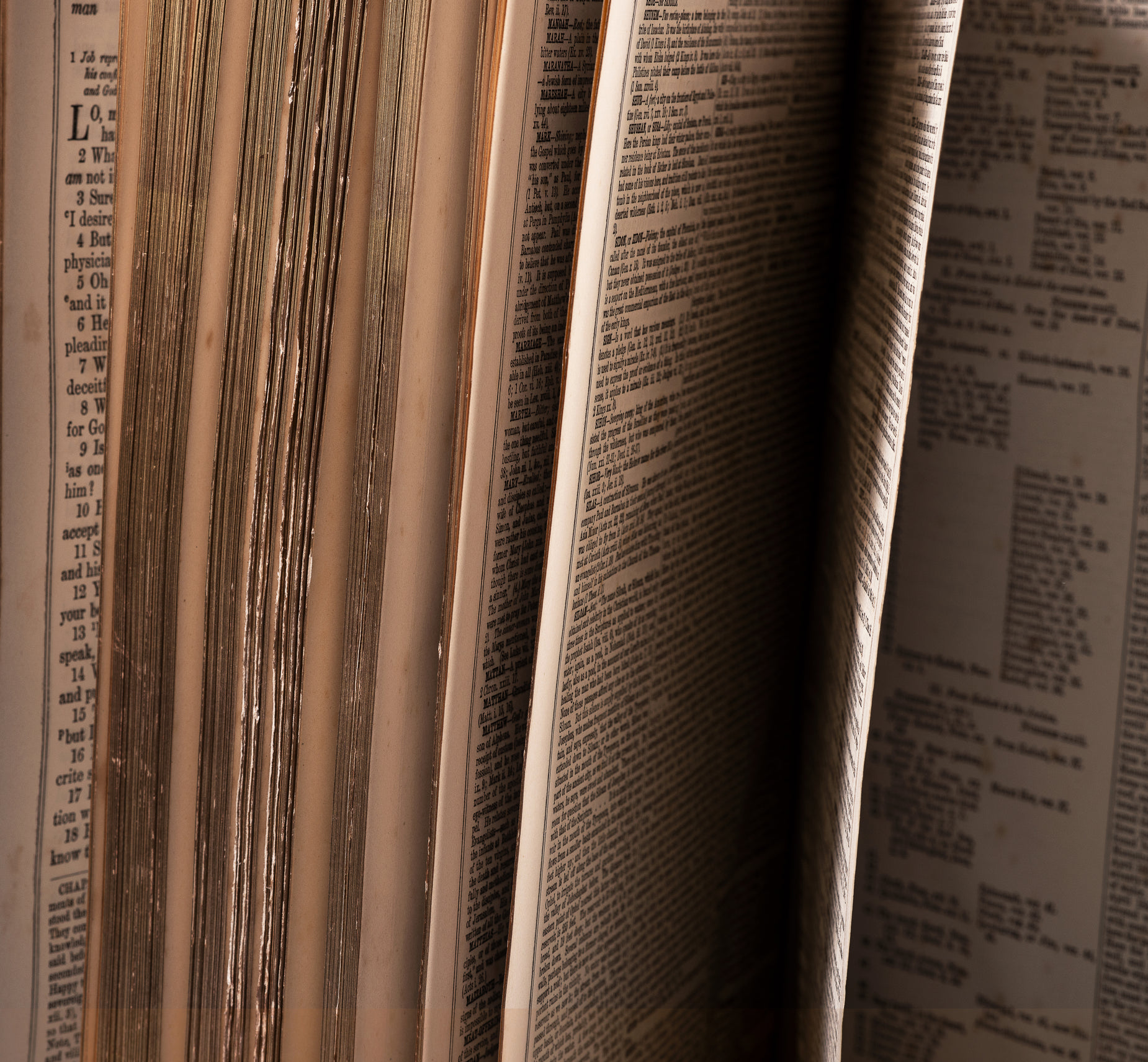 Browse Free HD Images of The Gilded Pages Of An Old Book