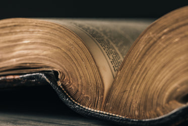 the gilded pages on antique book