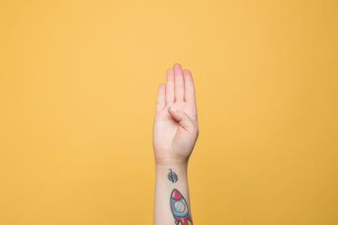 the letter "b" displayed in american sign language