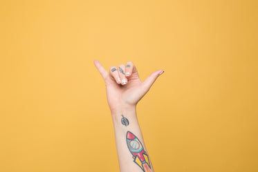the letter "y" displayed in american sign language