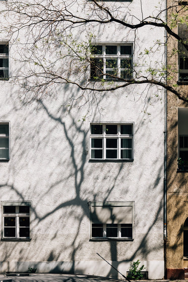 the side of a tall white building shadowed by a tree