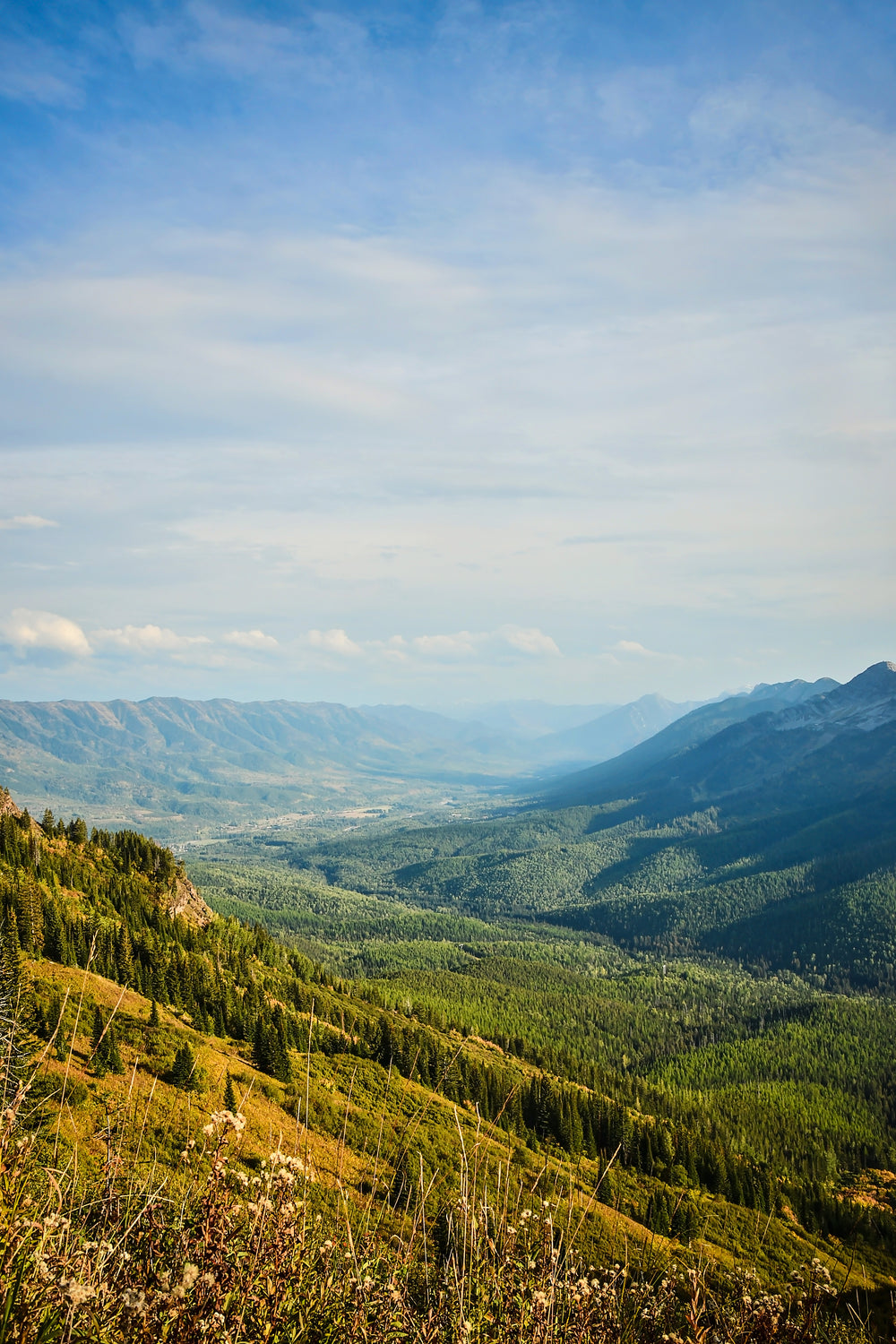 the sun bathes a green valley in gold light