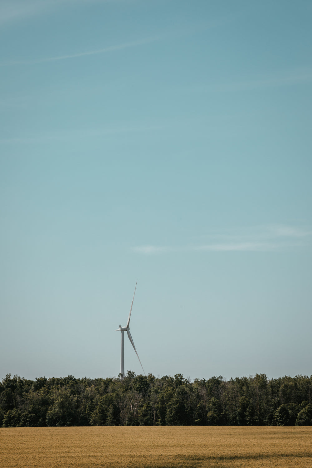 the turbine watchman