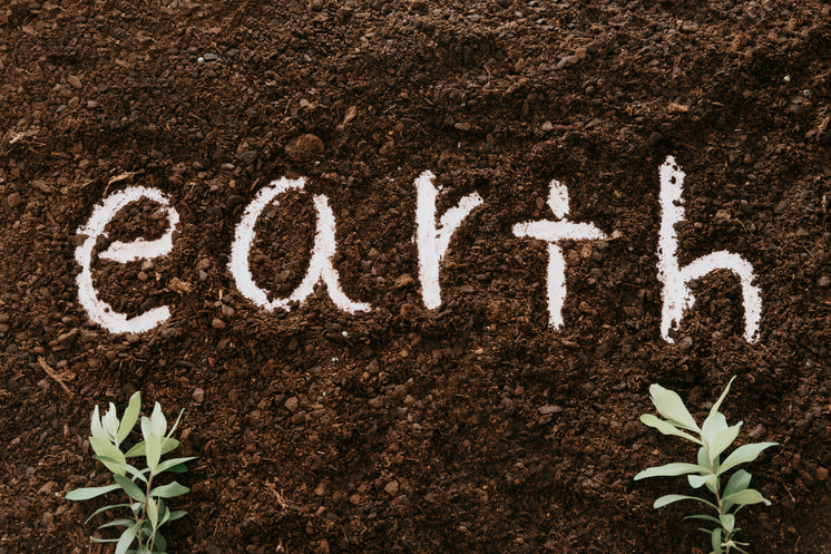 The Word Earth Written In The Dirt