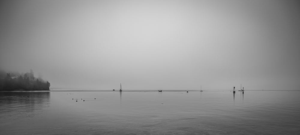 thick fog cradles sailboats and shorebirds along coastline