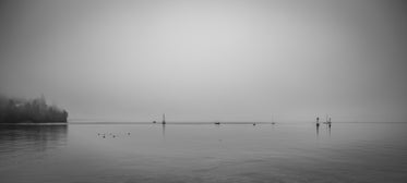 thick fog cradles sailboats and shorebirds along coastline