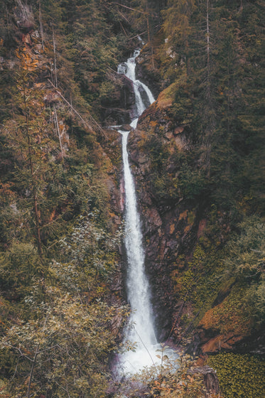 thin waterfall flows through a forest