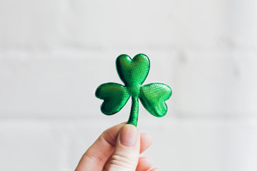 Browse Free HD Images of Three Leaf Clover Held In Hand