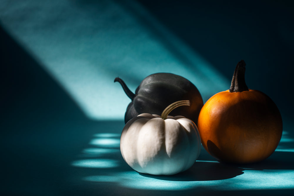 three mini pumpkins in a beam of sunlight