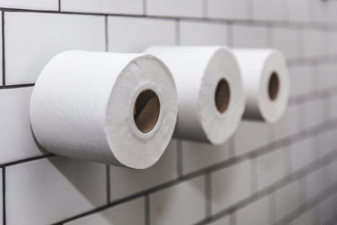 Browse Free HD Images of Three Rolls Of Toilet Paper On White Tile Wall