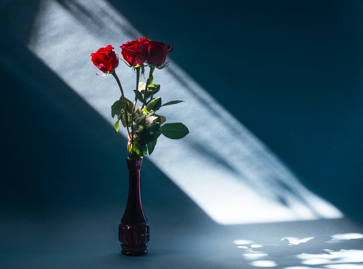 三朵玫瑰插在一个红色的玻璃花瓶里