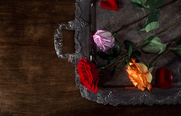 three roses on a tray
