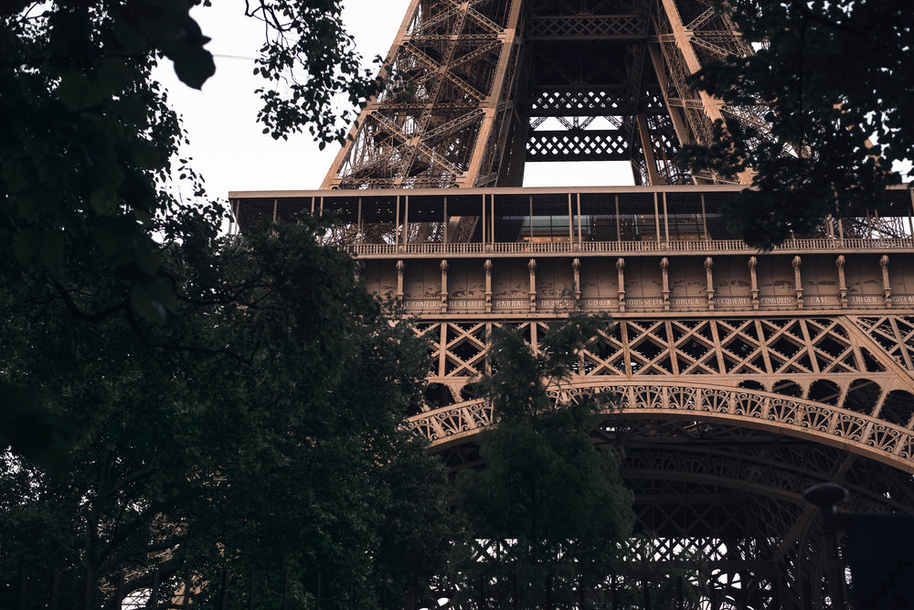 through trees the wrought iron of the eiffel tower