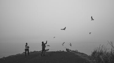 throwing breadcrumbs to hungry seagulls circling above