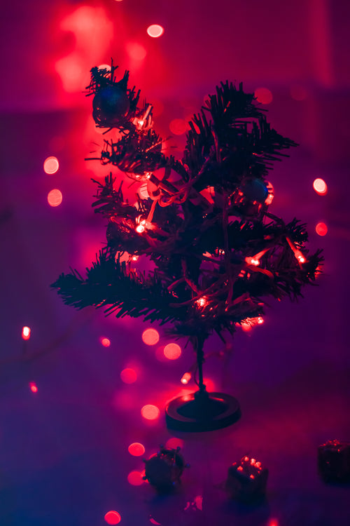 tiny holiday tree