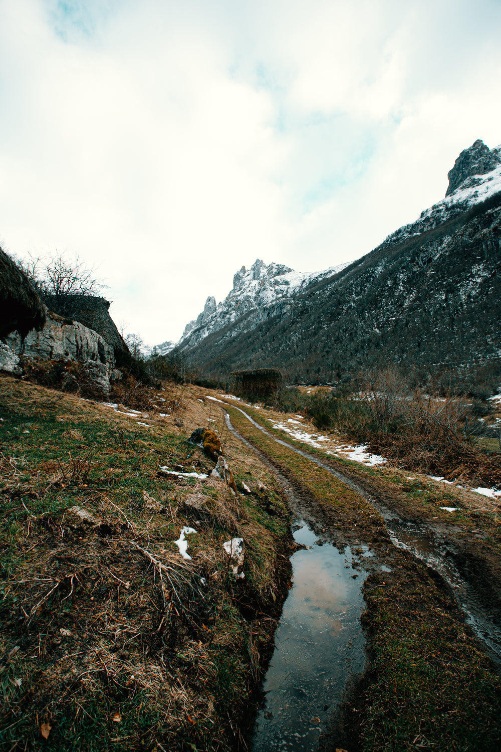 tire tracks along a mountain side