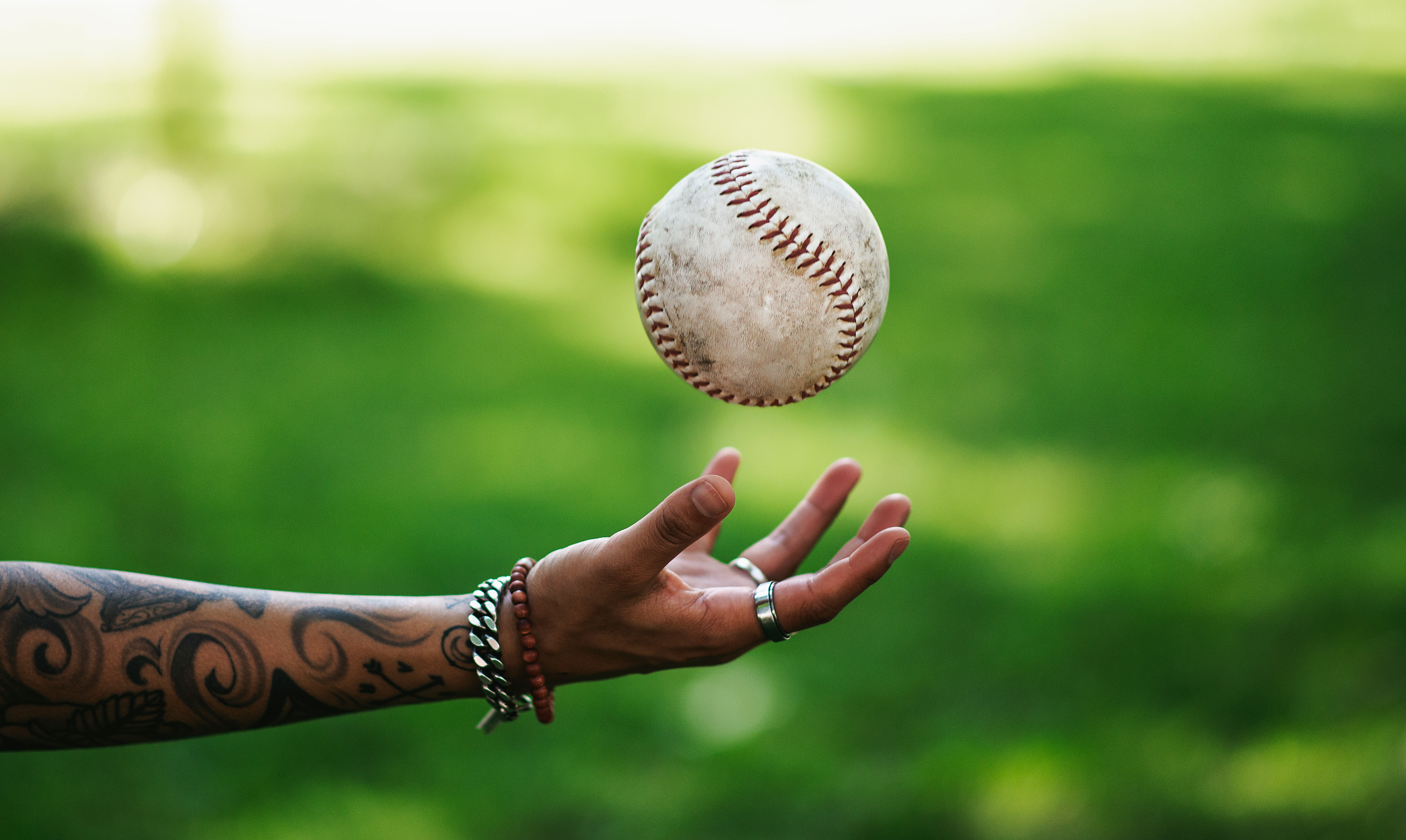 Toss And Catch Softball