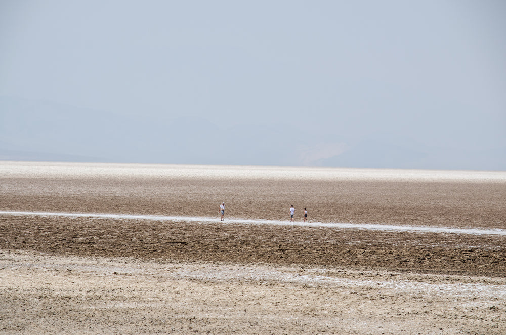 tourists traverse a desolate wasteland