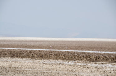 tourists traverse a desolate wasteland
