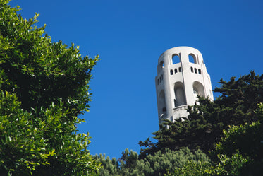 tower peeking through trees