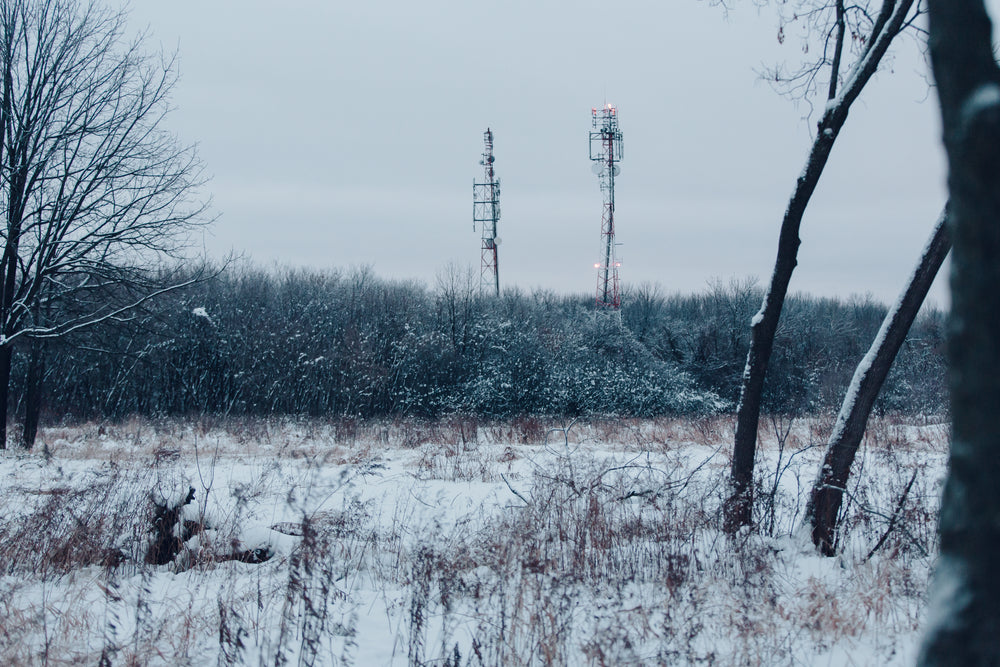 towers in the wilderness