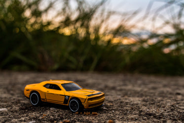 toy sports car with tall grass