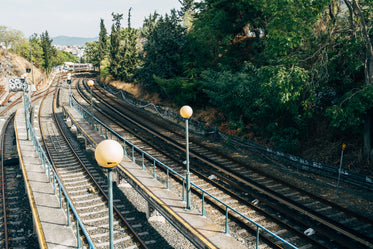 train tracks lined with green trees