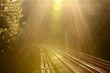 train tracks through a mountain forest