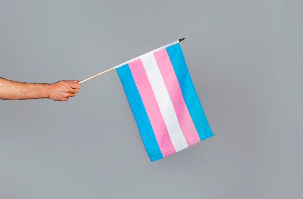 transgender pride flag  in hand