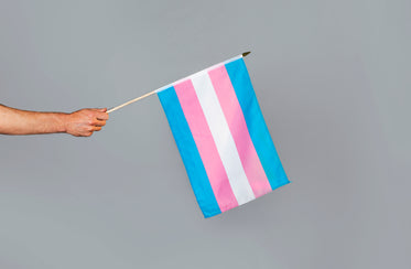 transgender pride flag in hand