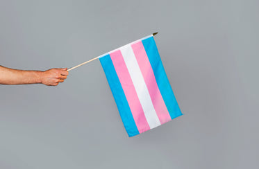 transgender pride flag in hand