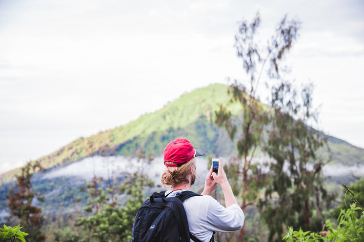 Traveller Takes Picture