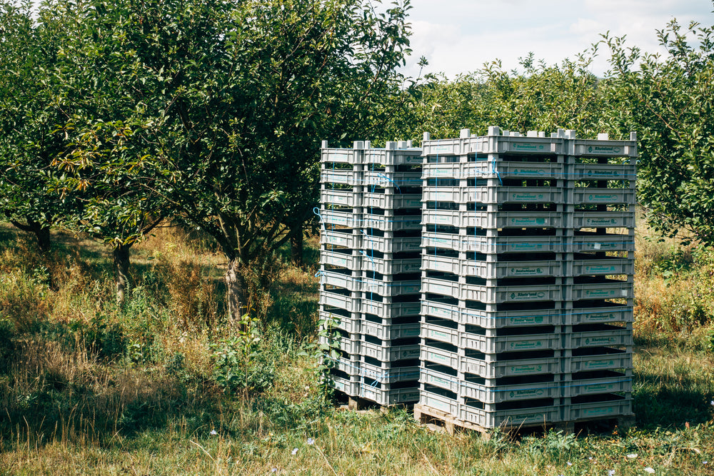 trays stacked at entrance to orchard