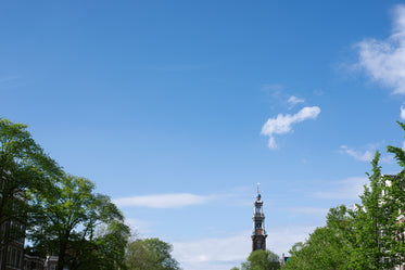 tree and spire