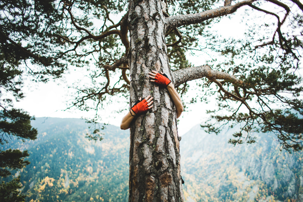 tree hugger