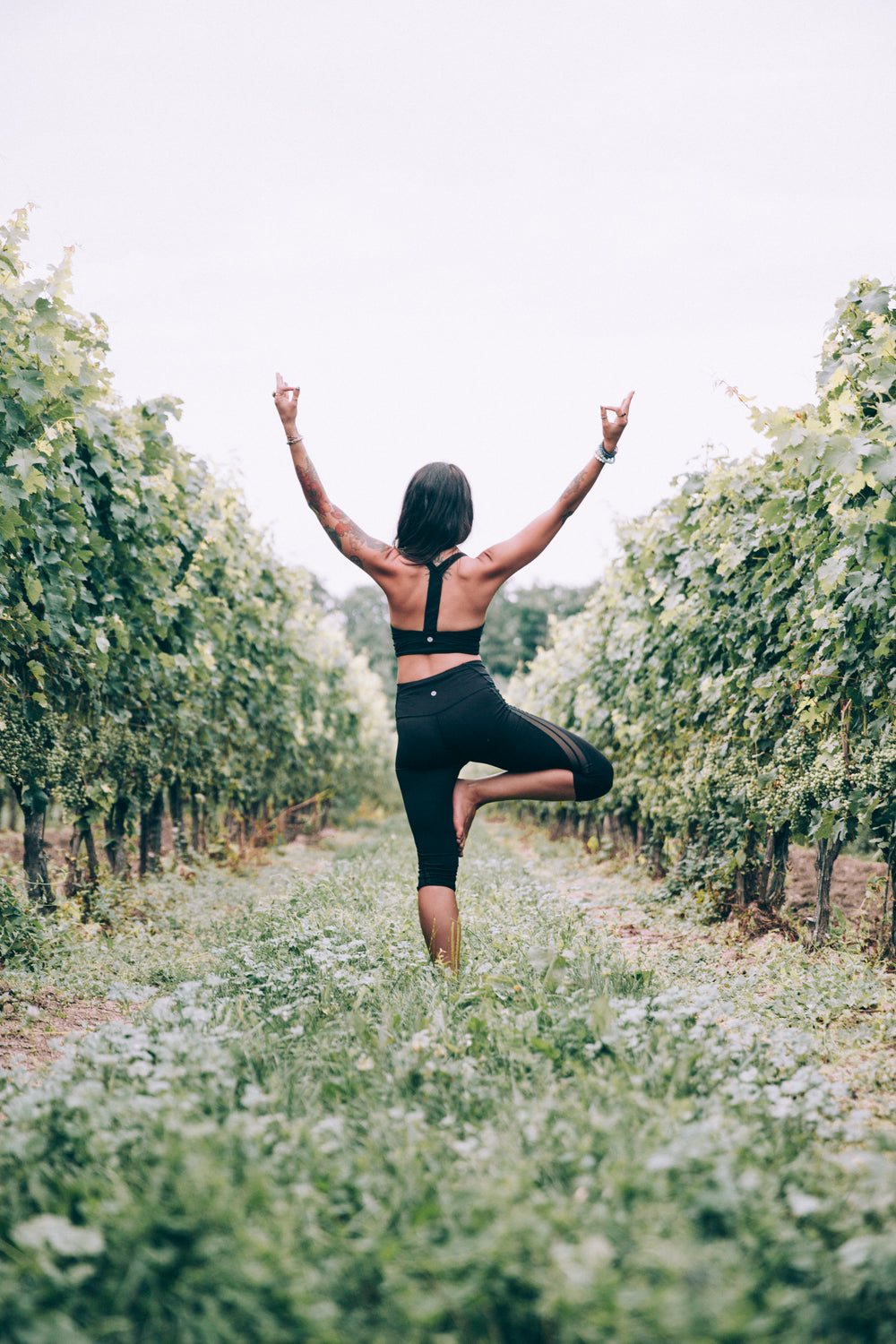 tree pose in vinyard great balance