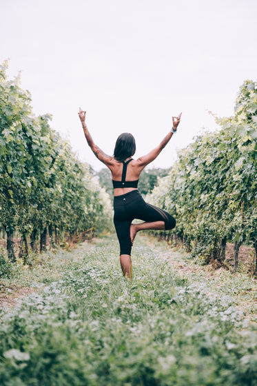 tree pose in vinyard great balance