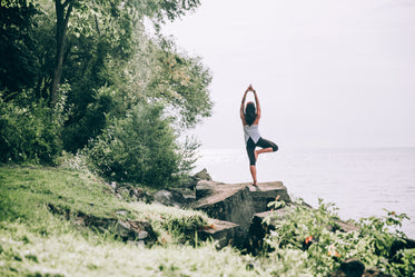 tree pose yoga in nature