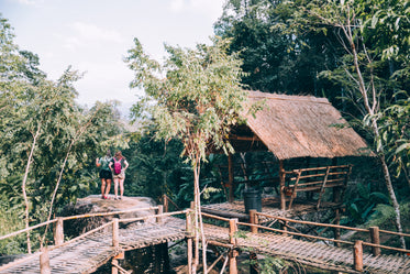 tree top adventure