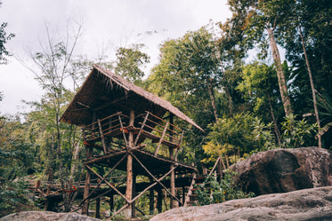 tree top structure