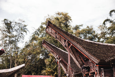 trees and indonesian architecture