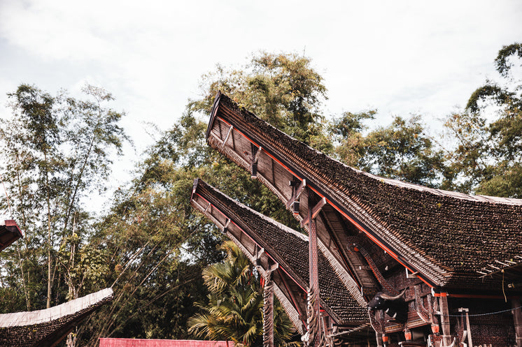 Trees And Indonesian Architecture