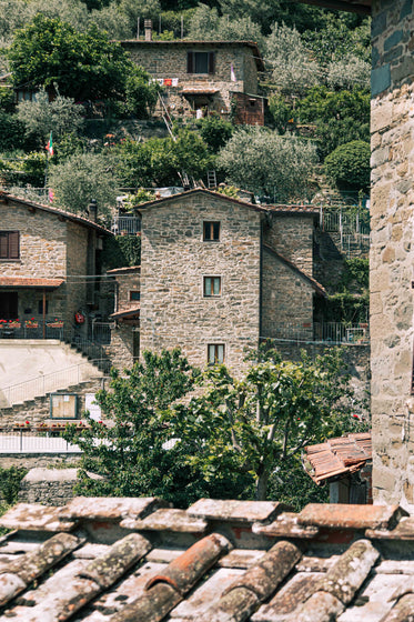 trees and stone buildings on hillside