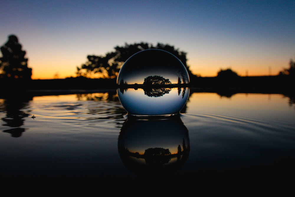 trees at sunset through lens ball