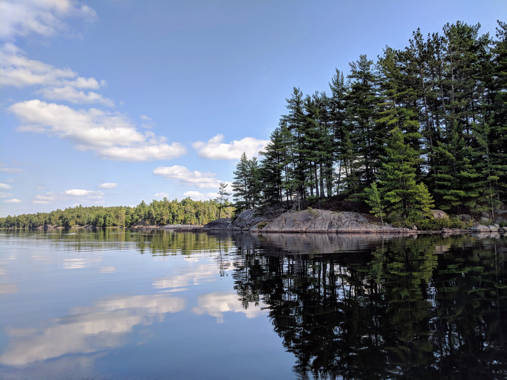 trees creating shadows on the water below