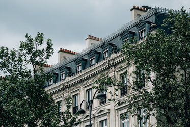 trees frame an old building with carved stone work